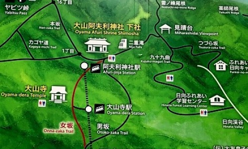 中药鬼箭羽的副作用有哪些-中药鬼箭羽的副作用网 | 中药鬼箭羽的副作用与禁忌,中药鬼箭羽的副作用和禁忌