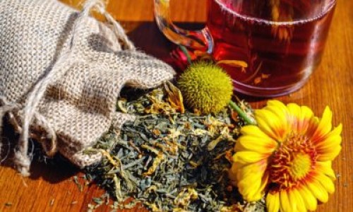 中药鬼箭羽的副作用网 | 中药鬼箭羽的副作用与禁忌,中药鬼箭羽的副作用和禁忌