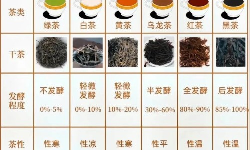 中药鬼箭羽治什么病-中药鬼箭羽的副作用网 | 中药鬼箭羽的副作用与禁忌,中药鬼箭羽的副作用和禁忌
