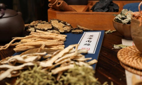 中药鬼箭羽的效果-中药鬼箭羽的副作用网 | 中药鬼箭羽的副作用与禁忌,中药鬼箭羽的副作用和禁忌